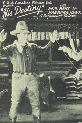 His Destiny (1928) poster