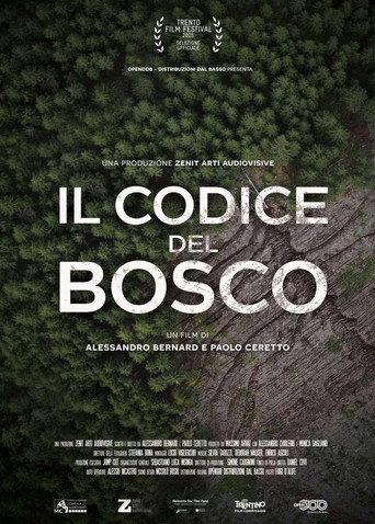 The Forest Code (2025) poster