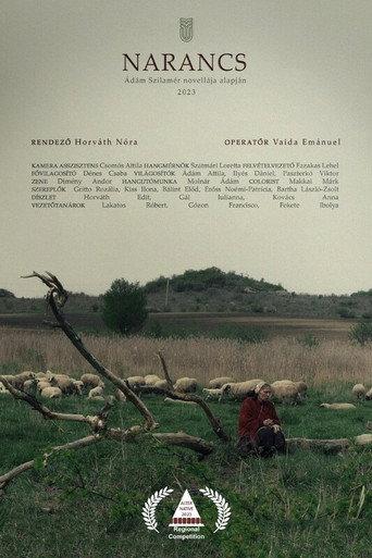 Orange (2023) poster