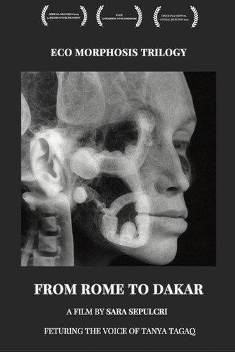 From Rome to Dakar () poster
