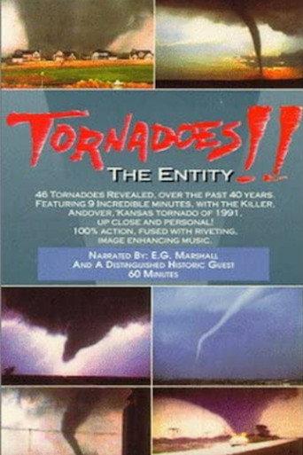 Tornadoes: The Entity (1993) poster