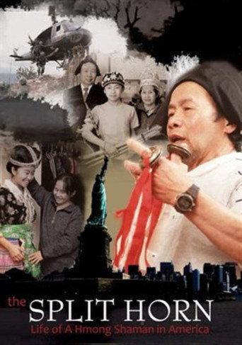 The Split Horn: Life of A Hmong Shaman in America (2001) poster
