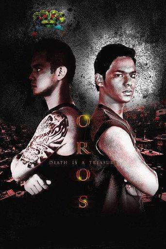 The Coin Bearer (2012) poster