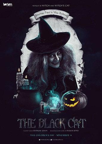 The Black Cat (2017) poster