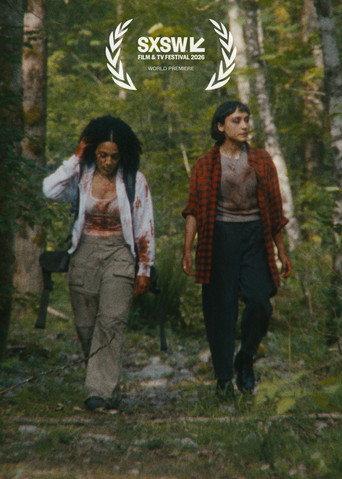 A Safe Distance (2026) poster