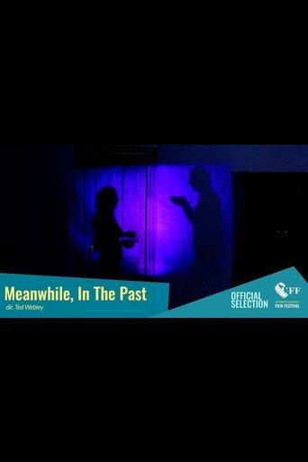Meanwhile, In The Past (2017) poster