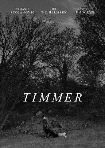 Timmer () poster