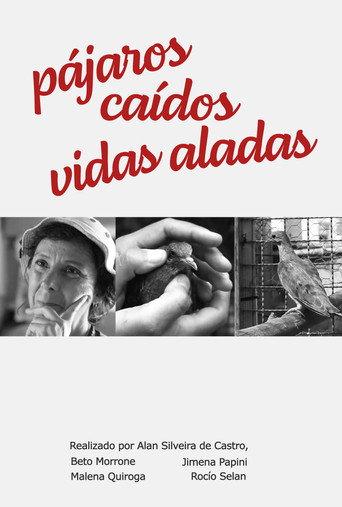 Pájaros Caídos, vidas aladas (2015) poster
