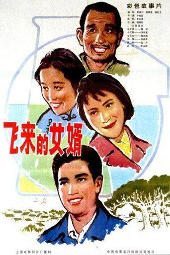 飞来的女婿 (1982) poster
