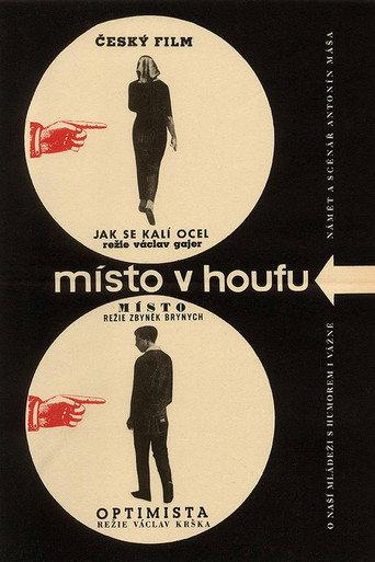 A Place in the Crowd (1964) poster