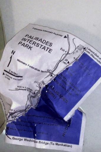 Palisades in Palisades (2014) poster