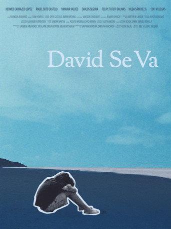 David Se Va () poster