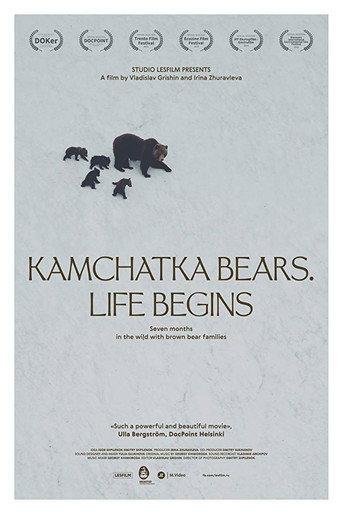 Kamchatka Bears. Life Begins (2018) poster