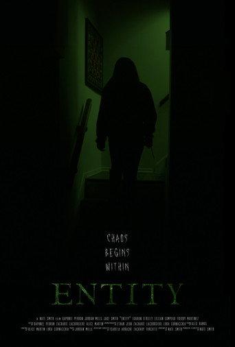 Entity (2026) poster