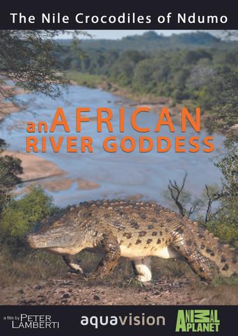 River Dragons of Ndumo (1997) poster