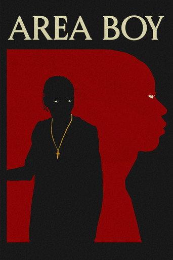 Area Boy (2023) poster