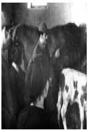 The Cattle Breeding of Today (1948) poster