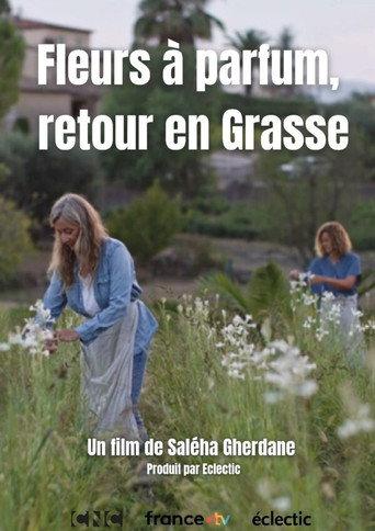 Fleurs à parfum, retour en Grasse (2026) poster