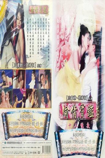 偷情宝鉴之十二性夜 (2000) poster