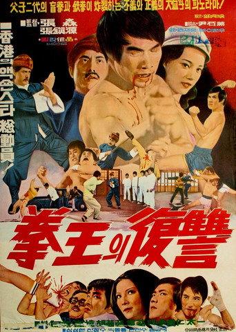 Blind Boxer (1972) poster