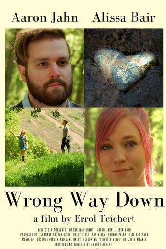 Wrong Way Down () poster
