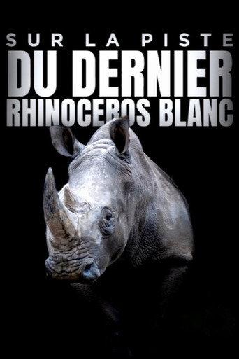 Sur la piste du dernier rhinocéros blanc (2022) poster