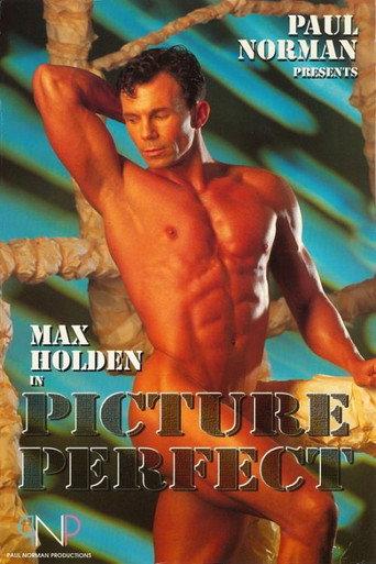 Picture Perfect (1993) poster