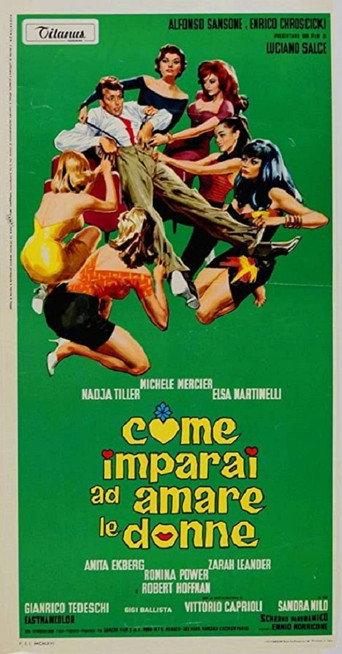 How I Learned to Love Women (1966) poster