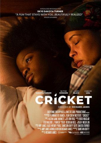 Cricket (2024) poster