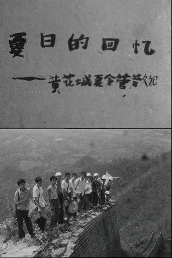 Recollections of the Summer (1982) poster