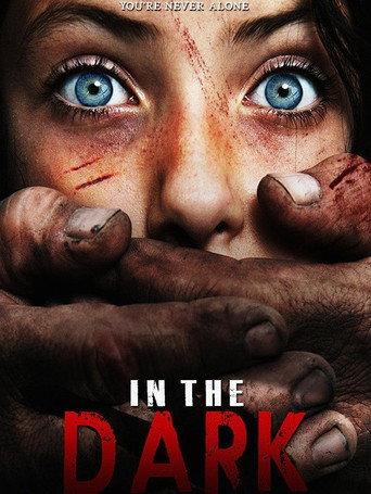 In the Dark () poster