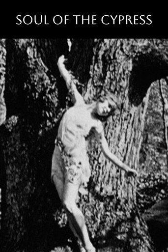 Soul of the Cypress (1921) poster