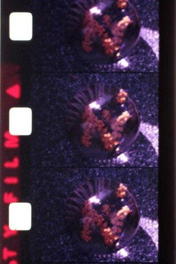 Ephemeral (1979) poster