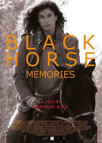 Black Horse Memories (2015) poster