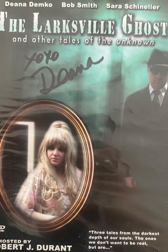 The Larksville Ghost (2006) poster