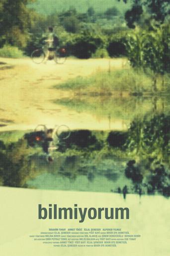 In Void () poster