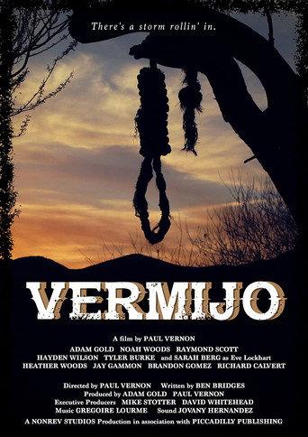 Vermijo (2017) poster