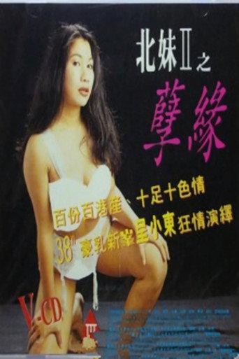 貼身全裸劇場之北妹 (1999) poster