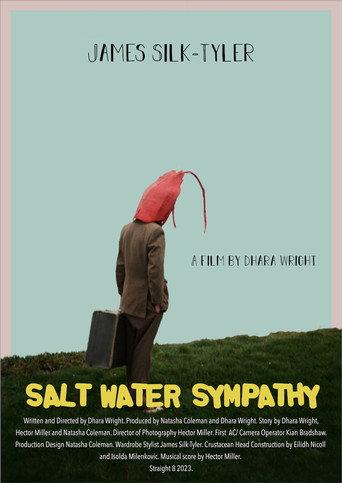 Salt Water Sympathy () poster