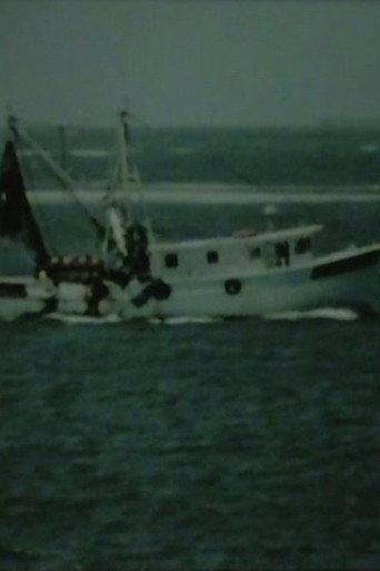 Shrimp Boat Log (2006) poster