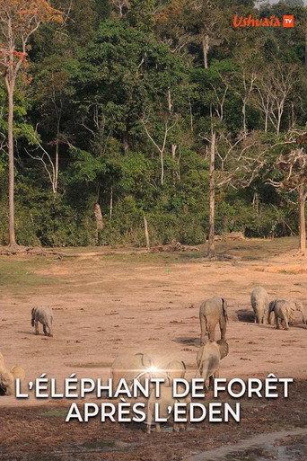 L' éléphant de forêt après l'éden (2016) poster