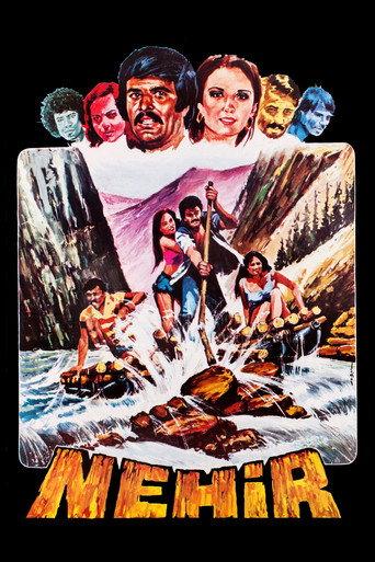 The River (1977) poster