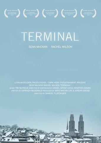 Terminal (2013) poster