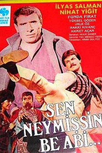 Sen Neymişsin Be Abi... (1986) poster