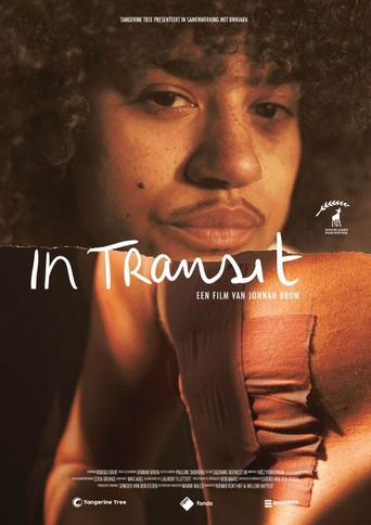 In Transit (2026) poster