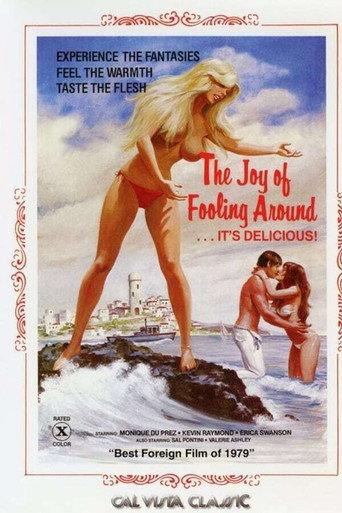 Rivals in Love (1976) poster