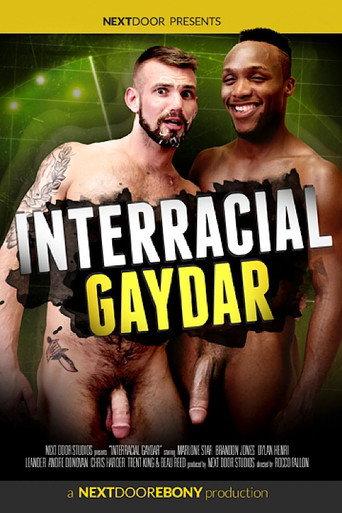Interracial Gaydar (2017) poster