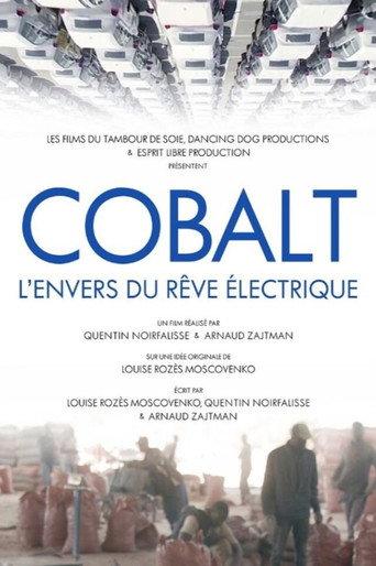 Cobalt Rush: The Future of Going Green (2022) poster