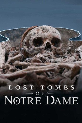 Lost Tombs of Notre Dame (2024) poster