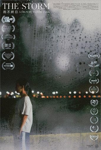 The Storm (2022) poster